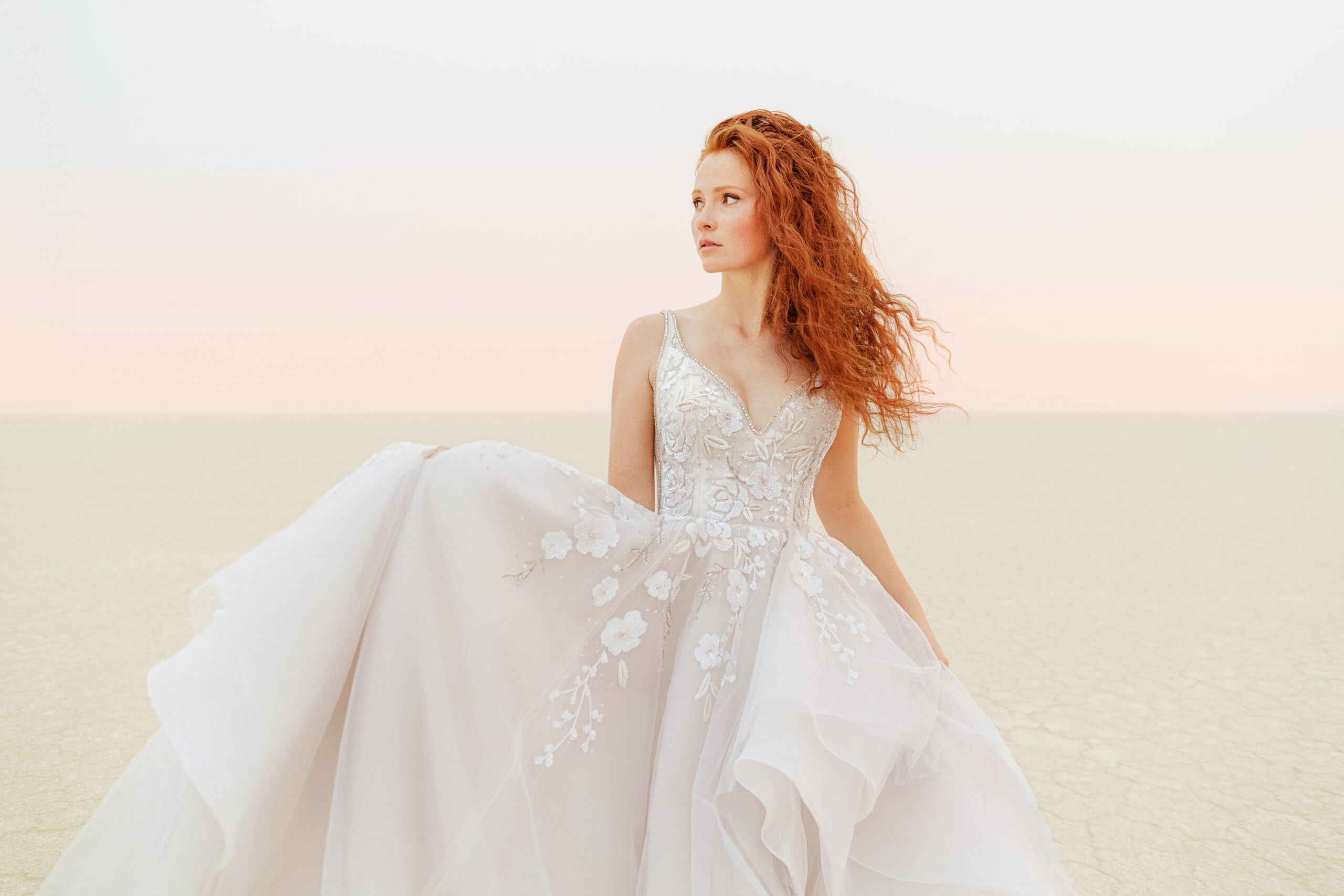 hayley paige trunk show discount